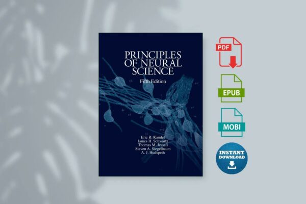 Netter s Atlas of Neuroscience